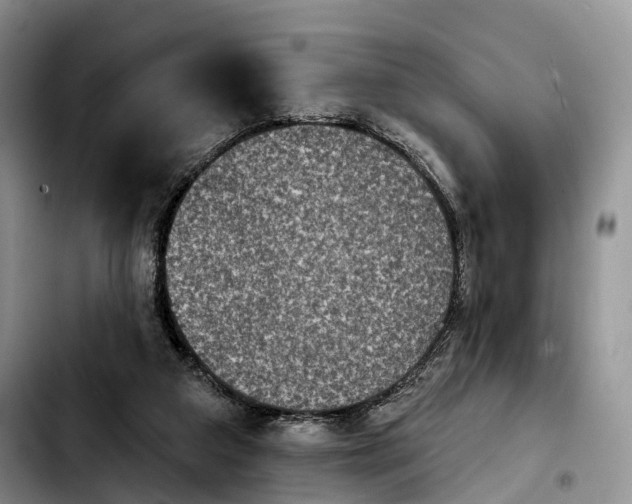 X0000103950113200810101447