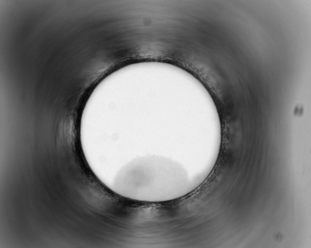 X0000103950116200810101447