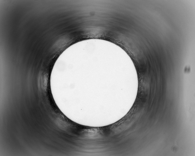 X0000103950118200810101447