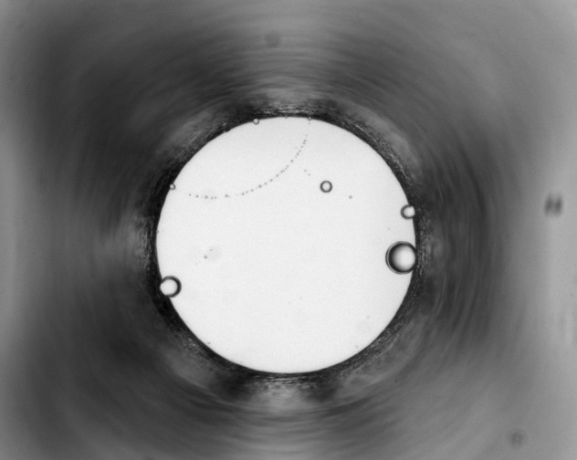 X0000103950121200810101447