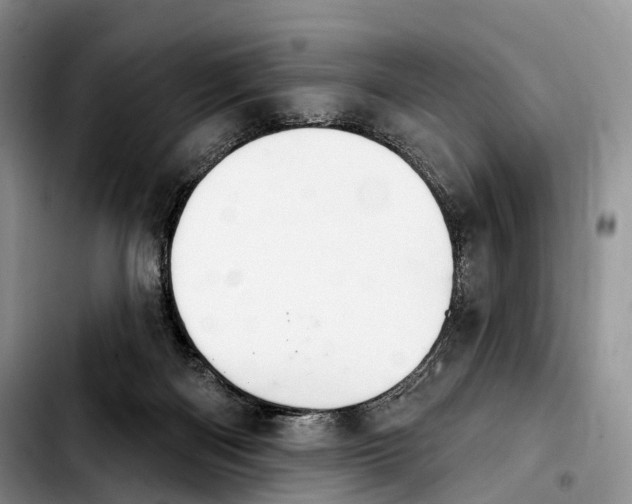 X0000103950122200810101447
