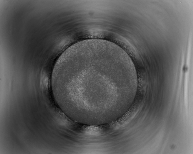 X0000103950123200810101447