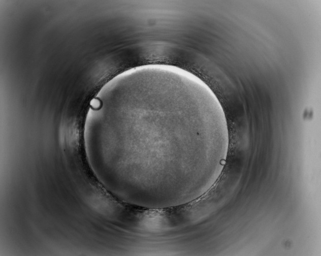 X0000103950124200810101447