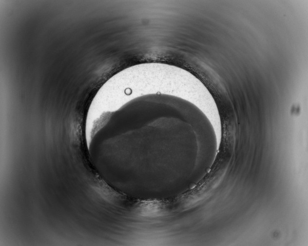 X0000103950127200810101447