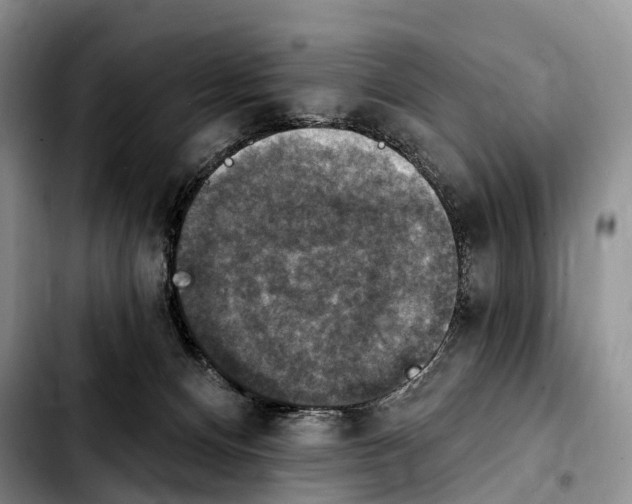 X0000103950128200810101447