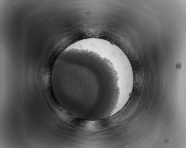X0000103950130200810101447