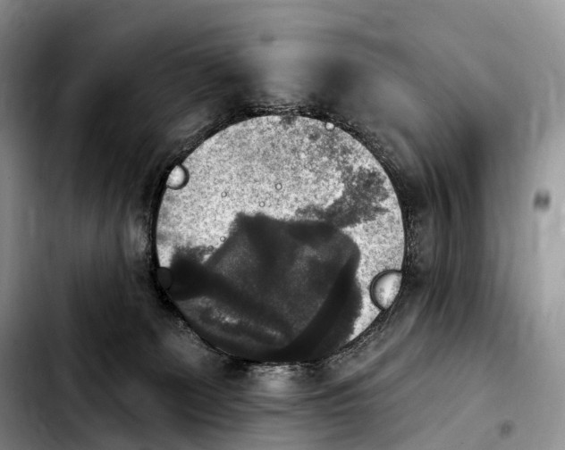 X0000103950131200810101447