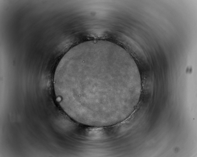 X0000103950132200810101447
