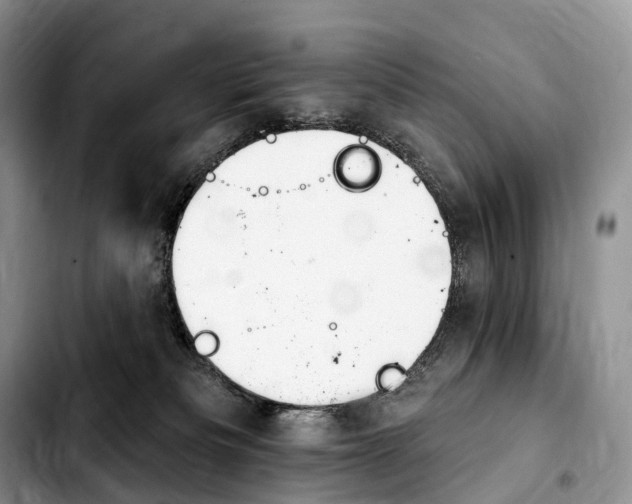 X0000103950133200810101447