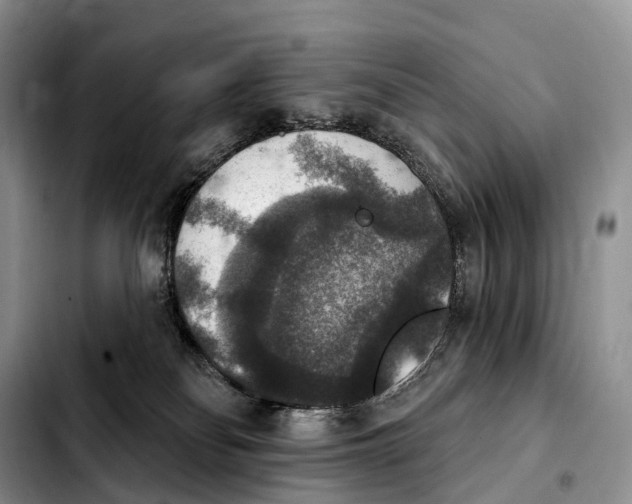 X0000103950134200810101447