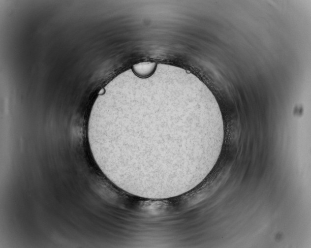 X0000103950135200810101447