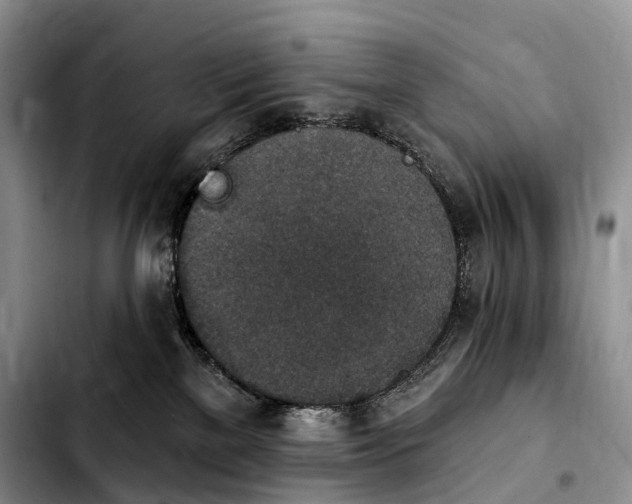 X0000103950137200810101447