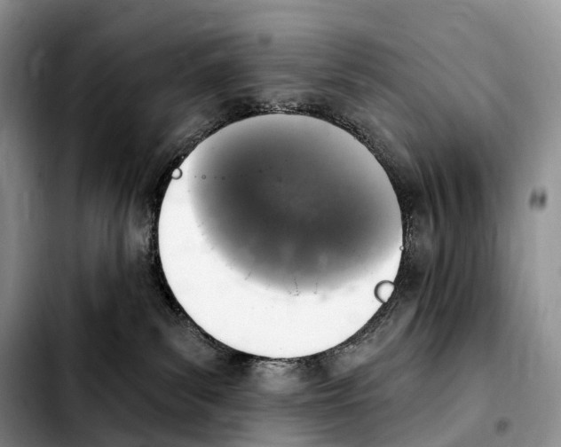 X0000103950139200810101446