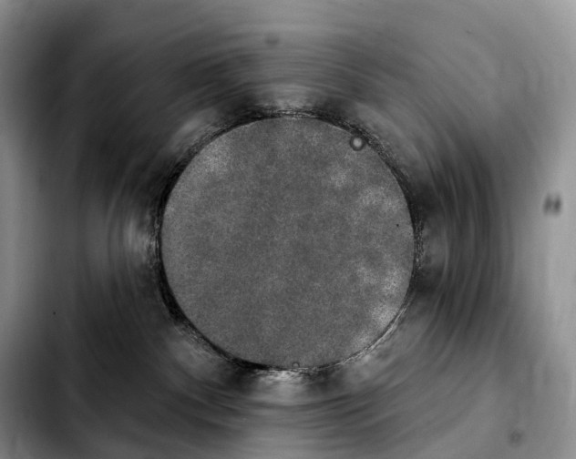 X0000103950140200810101446