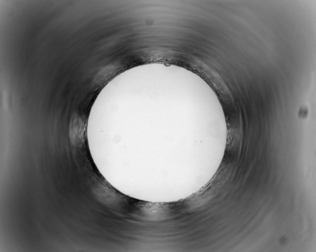 X0000103950142200810101446