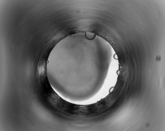 X0000103950143200810101446