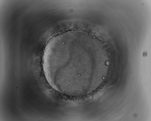 X0000103950144200810101446