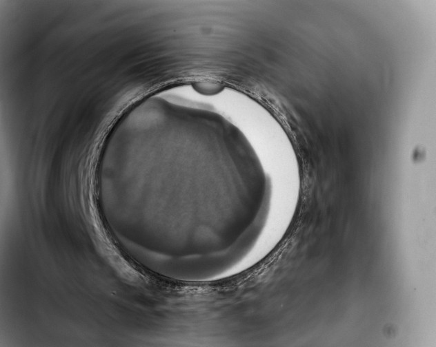 X0000103950145200810101446