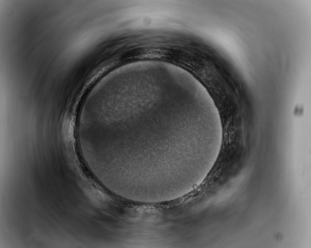 X0000103950146200810101446