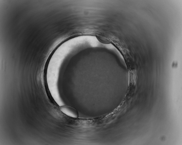 X0000103950147200810101446