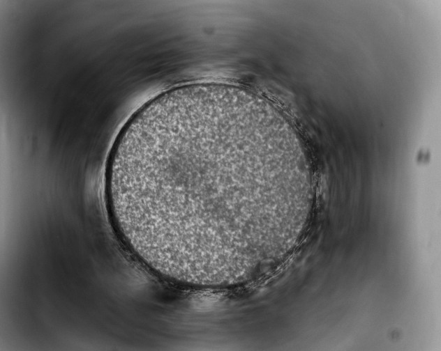 X0000103950148200810101446