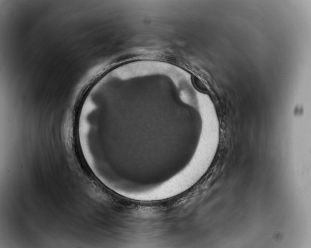 X0000103950149200810101446