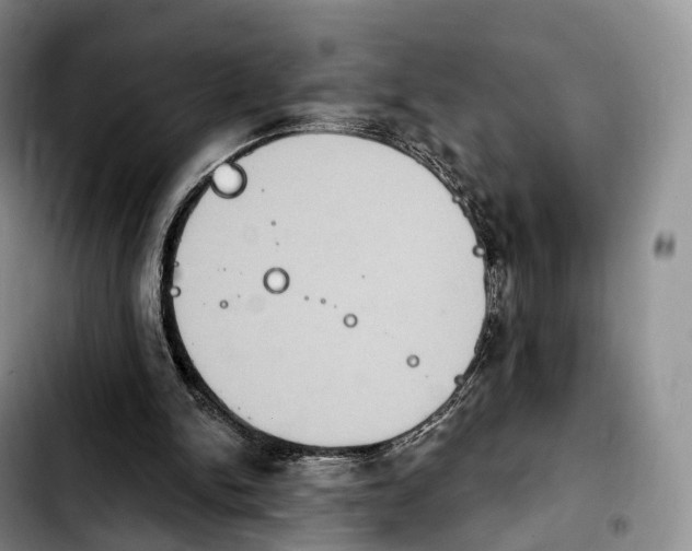 X0000103950150200810101446