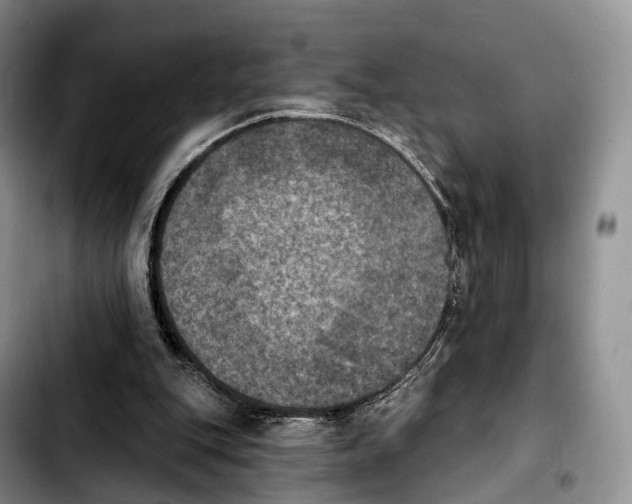 X0000103950151200810101446