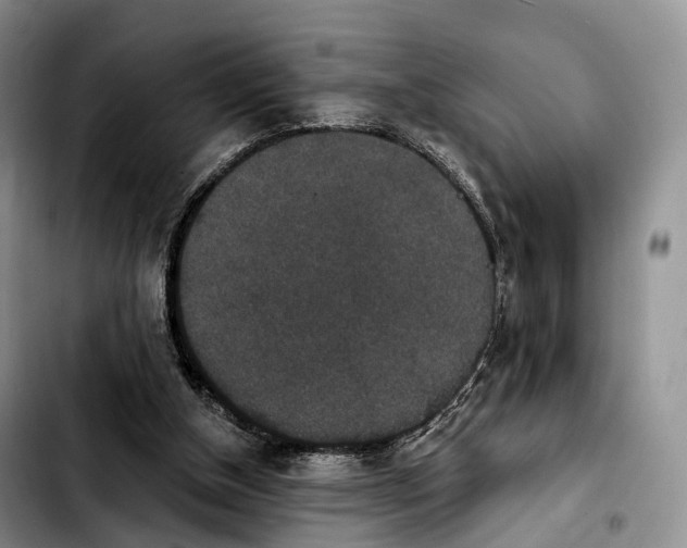 X0000103950154200810101446