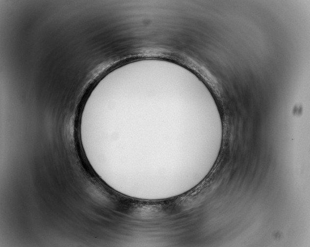 X0000103950155200810101446