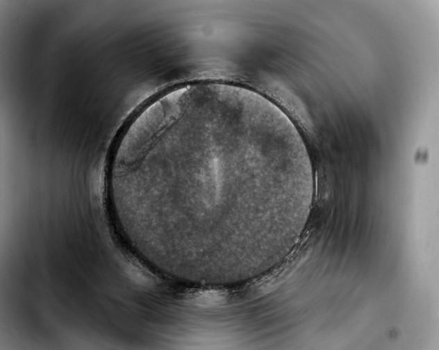 X0000103950156200810101446