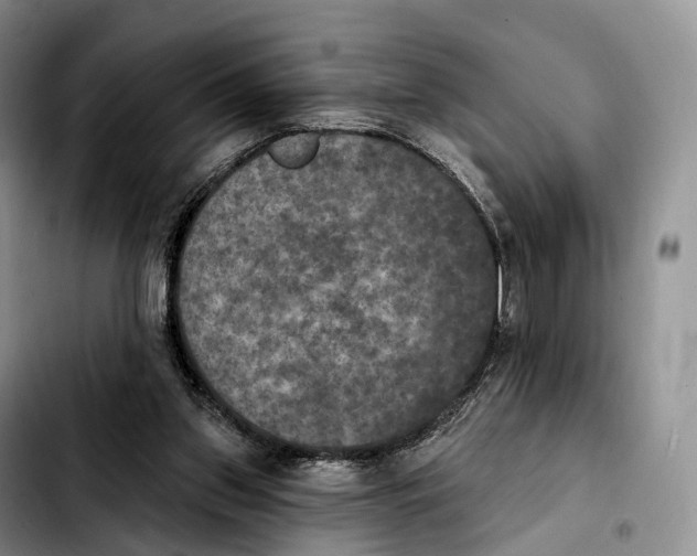 X0000103950157200810101446