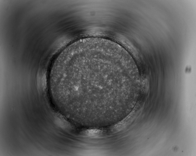 X0000103950158200810101446