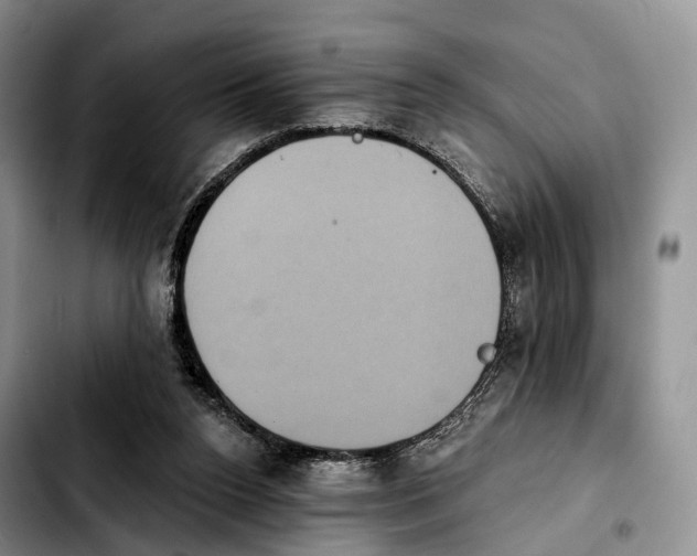 X0000103950160200810101446
