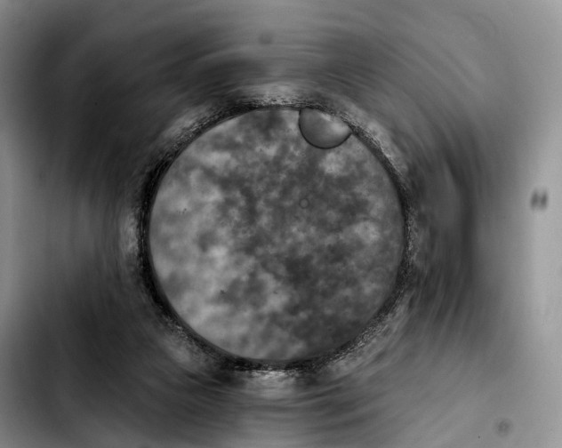 X0000103950161200810101446