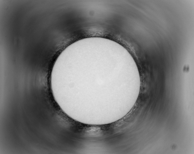 X0000103950162200810101446