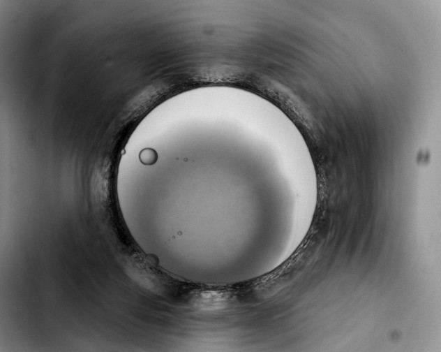 X0000103950163200810101446