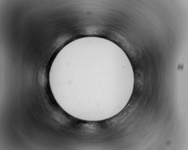 X0000103950164200810101446