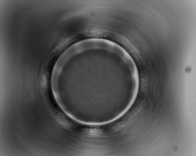 X0000103950165200810101446