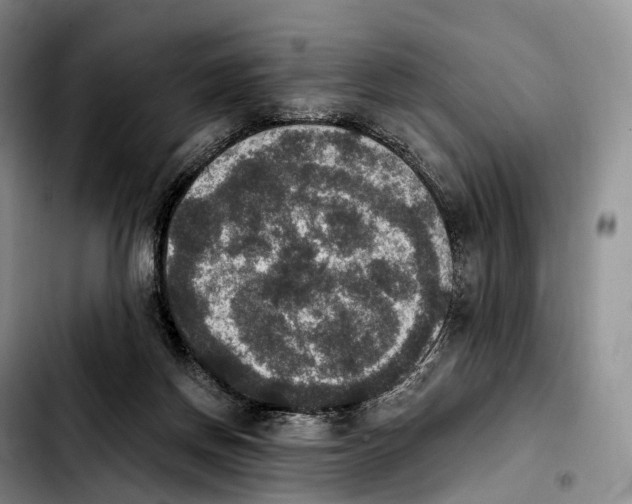 X0000103950166200810101446