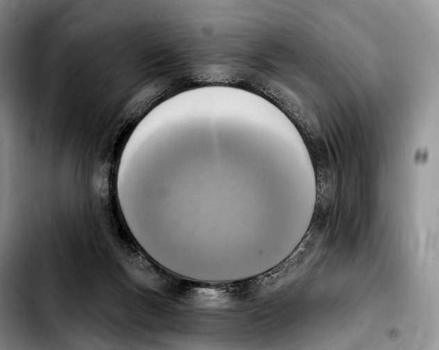 X0000103950167200810101446