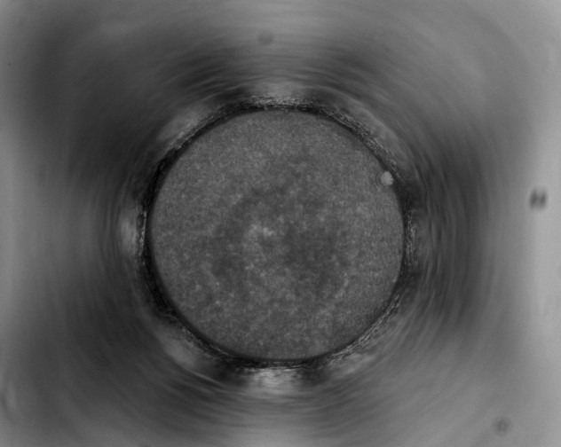 X0000103950168200810101446