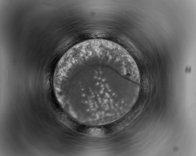 X0000103950169200810101446