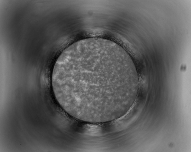 X0000103950170200810101446