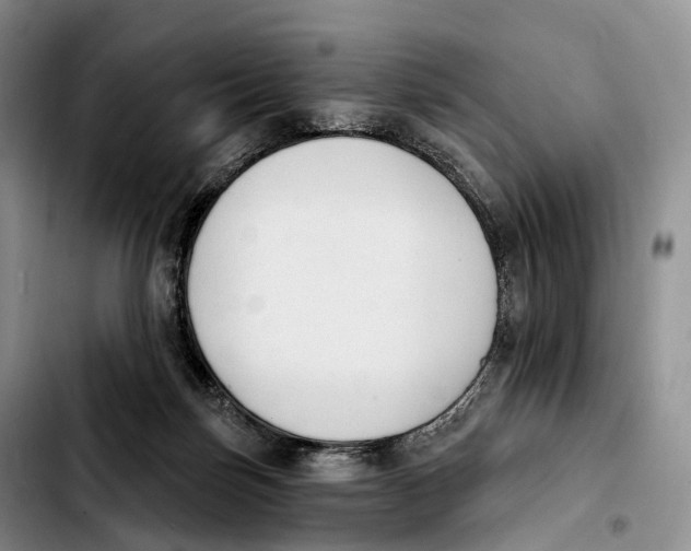 X0000103950171200810101446