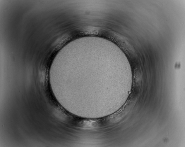 X0000103950172200810101446