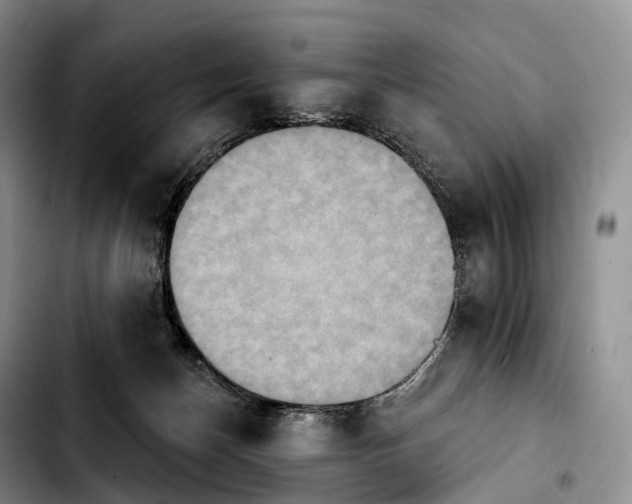 X0000103950174200810101446