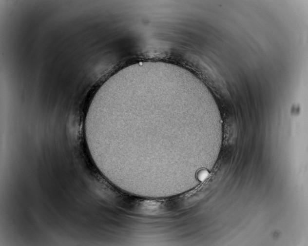 X0000103950176200810101446
