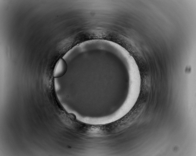 X0000103950177200810101446