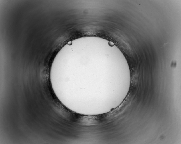 X0000103950179200810101446